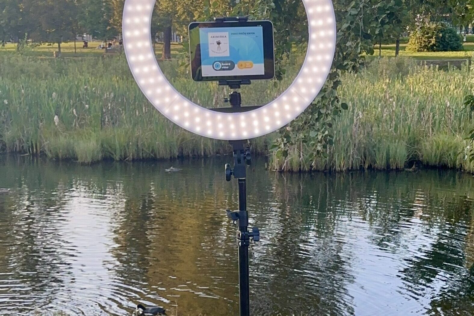 video knyga atsiliepimai