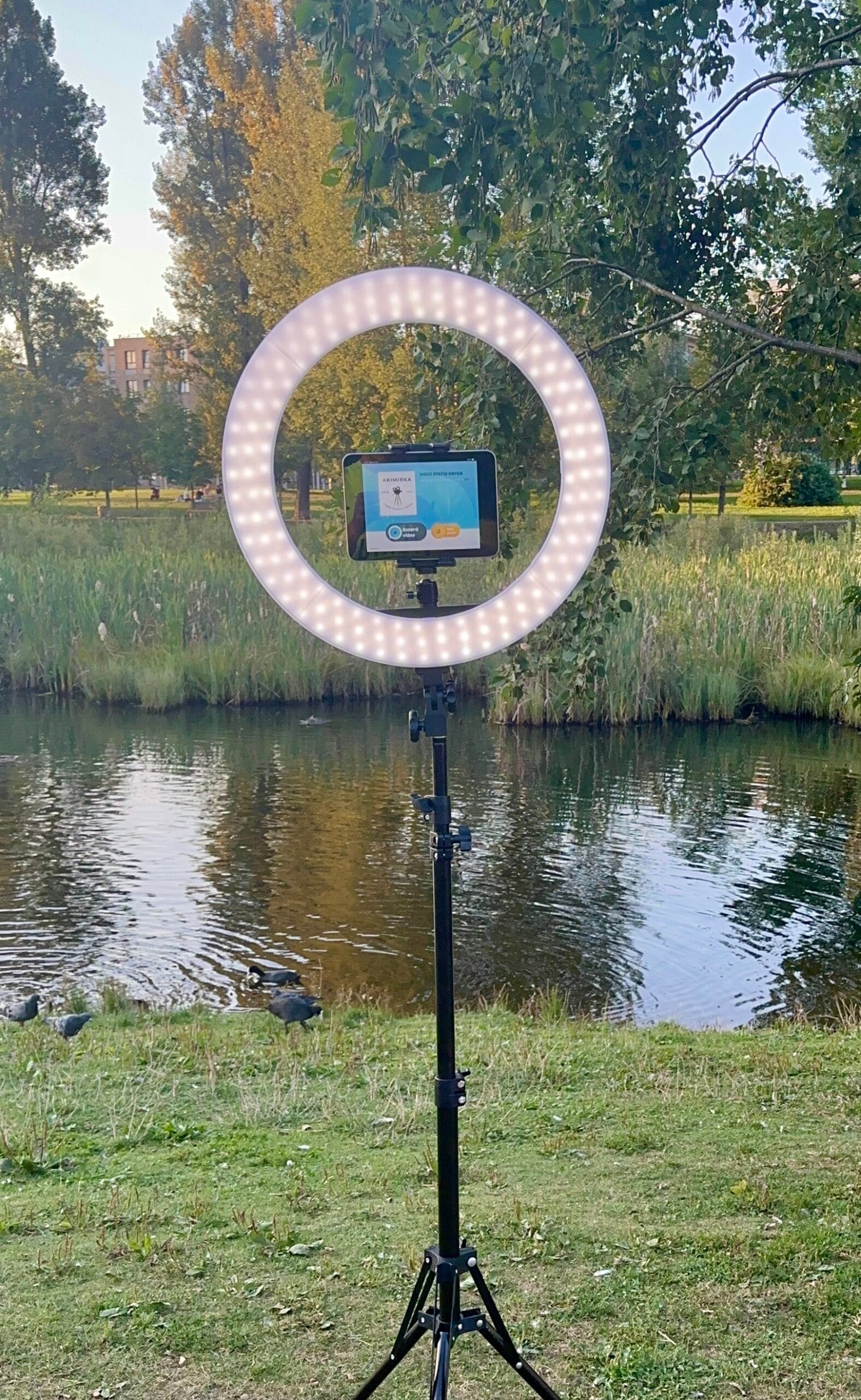 video knyga atsiliepimai